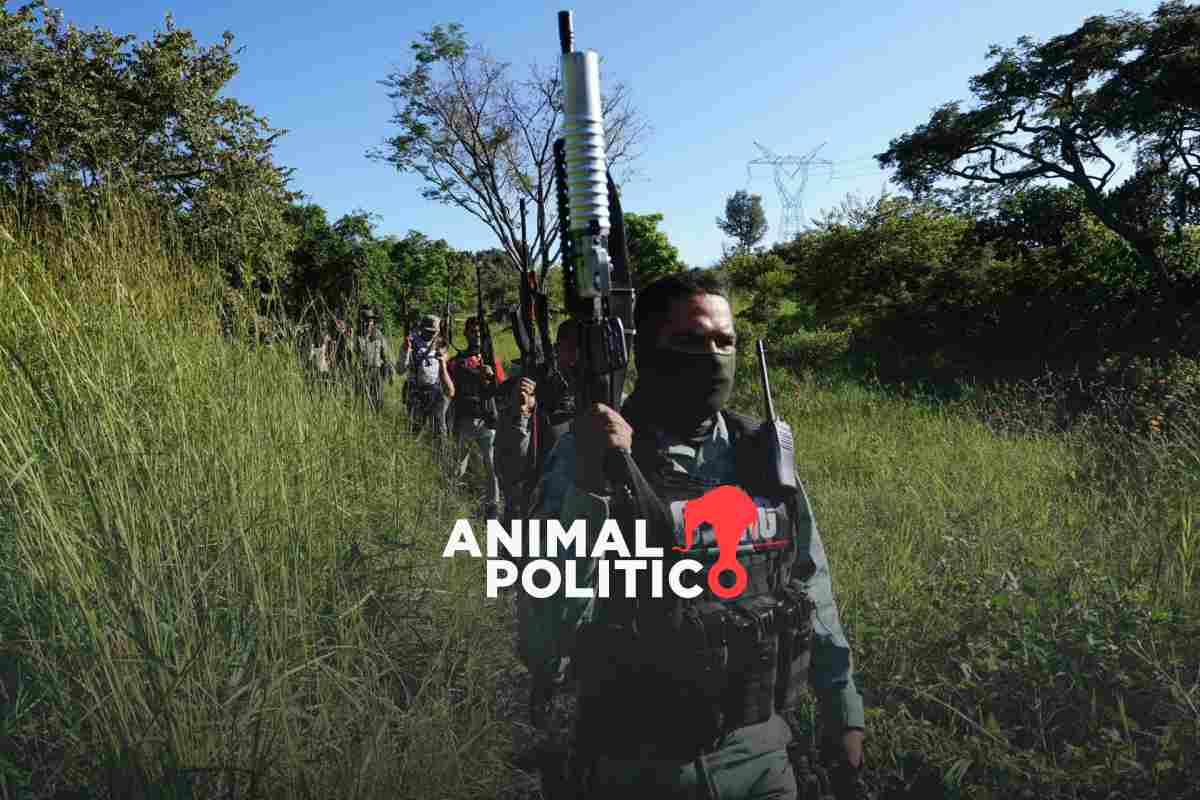  EU oficializa la designación de seis cárteles mexicanos como organizaciones terroristas