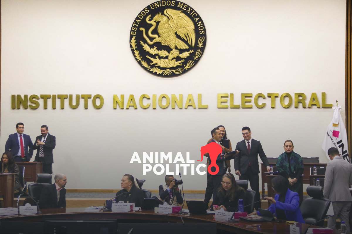 “El ángel de la justicia”: candidatos a elección judicial piden usar sus sobrenombres; INE rechazará