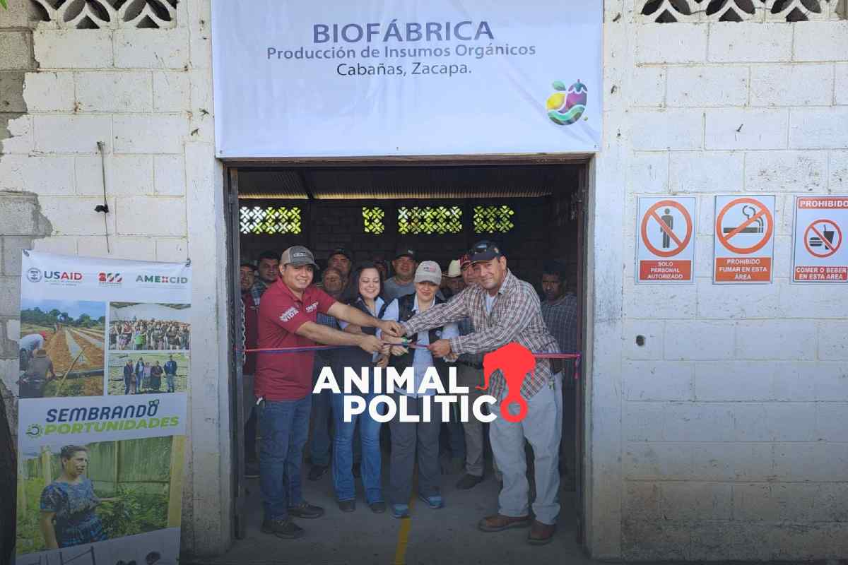 La suspensión del programa USAID pone en riesgo proyectos en México por 200 millones de dólares