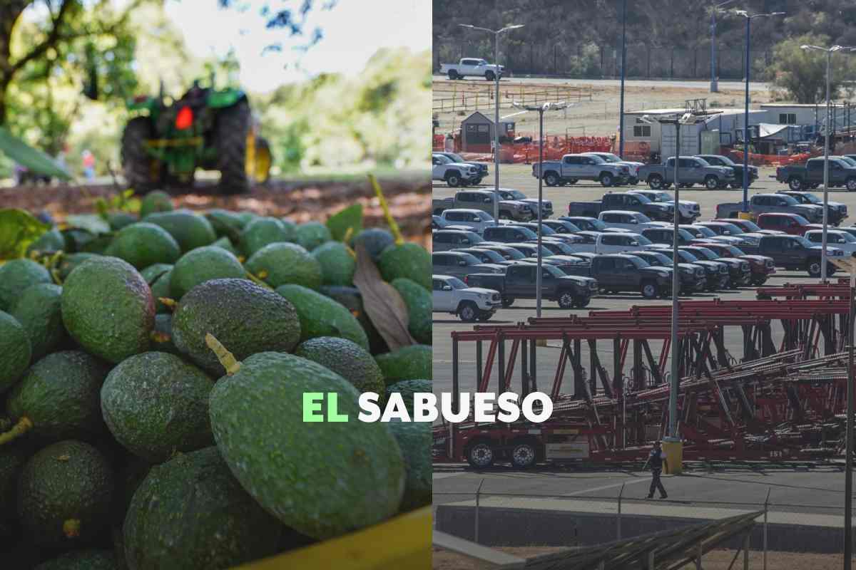 Electrónicos, autos y alimentos: las industrias que pueden verse afectadas por aranceles de Trump