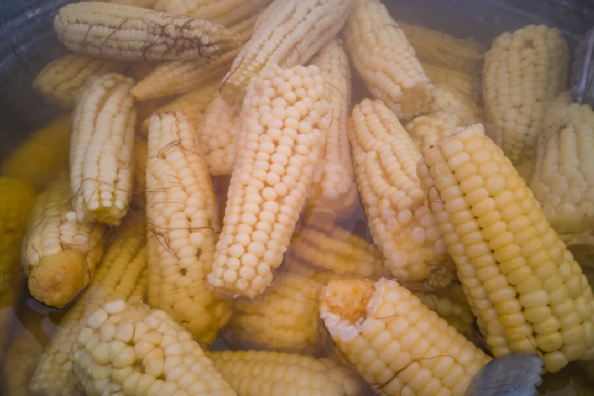 ¿Cómo hacer elotes hervidos? Prepárales a toda la familia