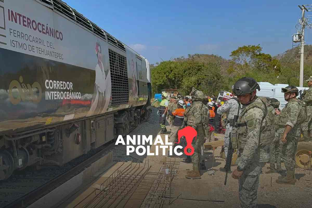 Empresa externa evaluará Tren Interoceánico previo a su reapertura