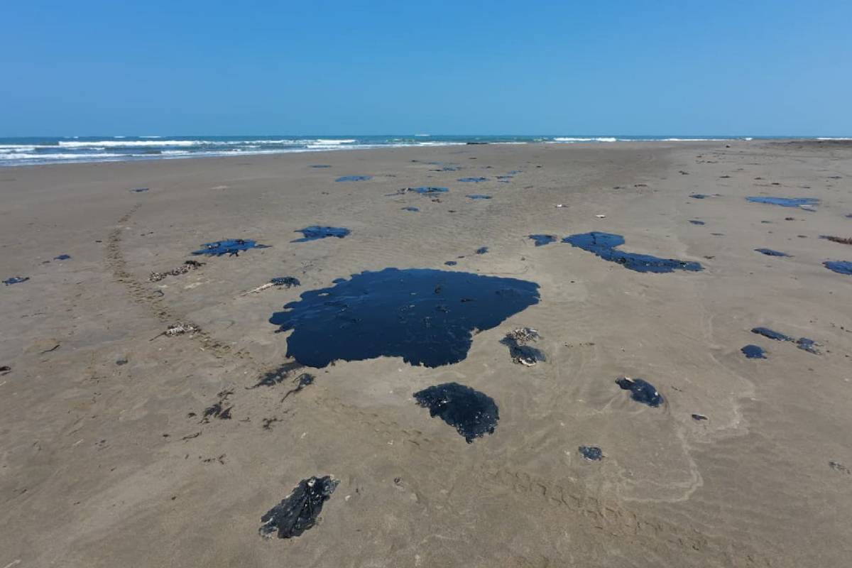 Empresa responsable del derrame de hidrocarburos “todavía no se tiene identificada”: Sheinbaum