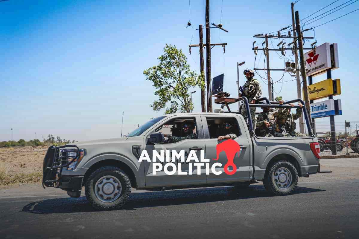 Enfrentamiento en Guasave, Sinaloa, deja 13 presuntos agresores abatidos y 4 detenidos