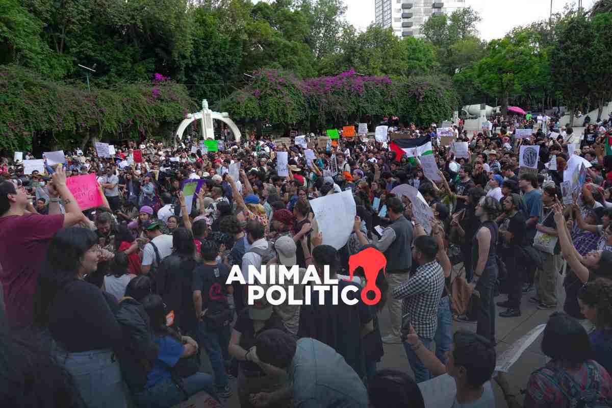 "Estamos hartos de sus dólares": protestan contra gentrificación en CDMX; gobierno rechaza violencia