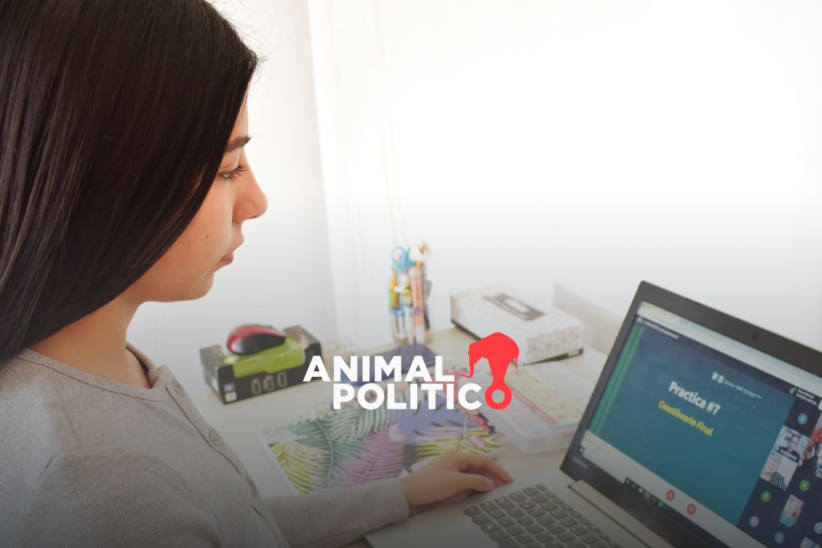 Estudia la universidad a distancia: UnADM abre convocatoria 2025; requisitos y proceso de admisión