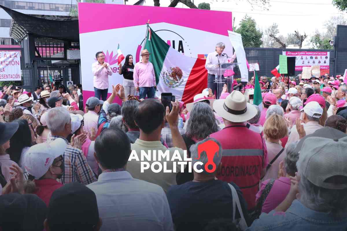 Xóchitl Gálvez y “marea rosa” exigen al INE no dar mayoría legislativa a Morena