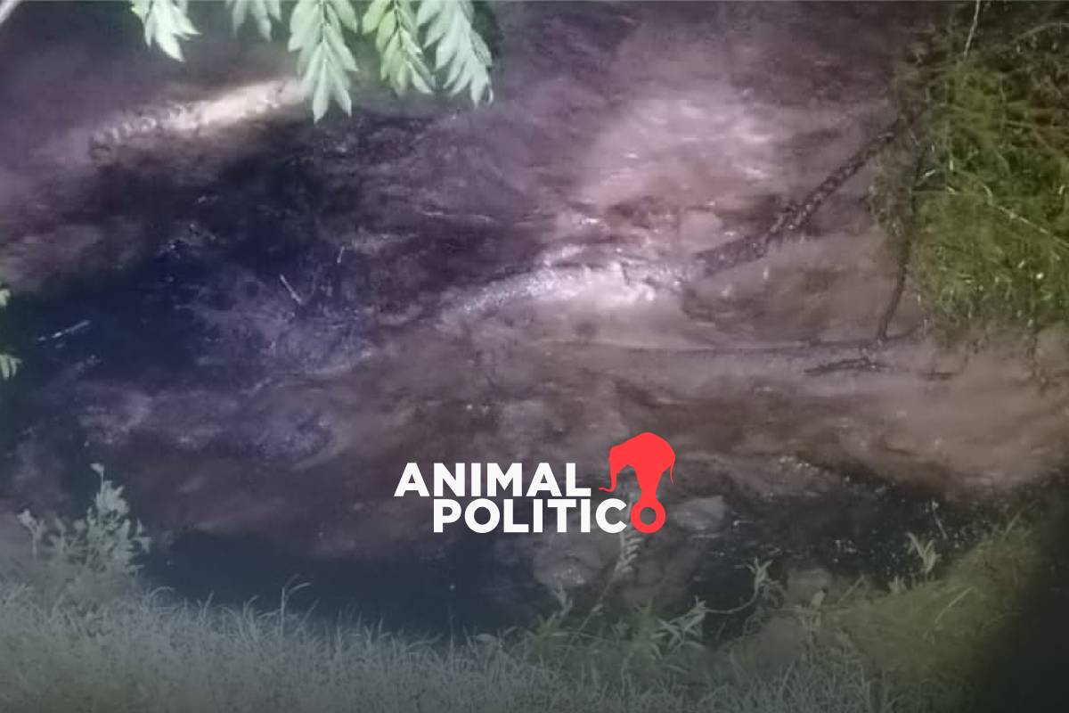 Fuga de ducto de Pemex desemboca en río San Marcos en Puebla; se mantiene vigilancia en la zona