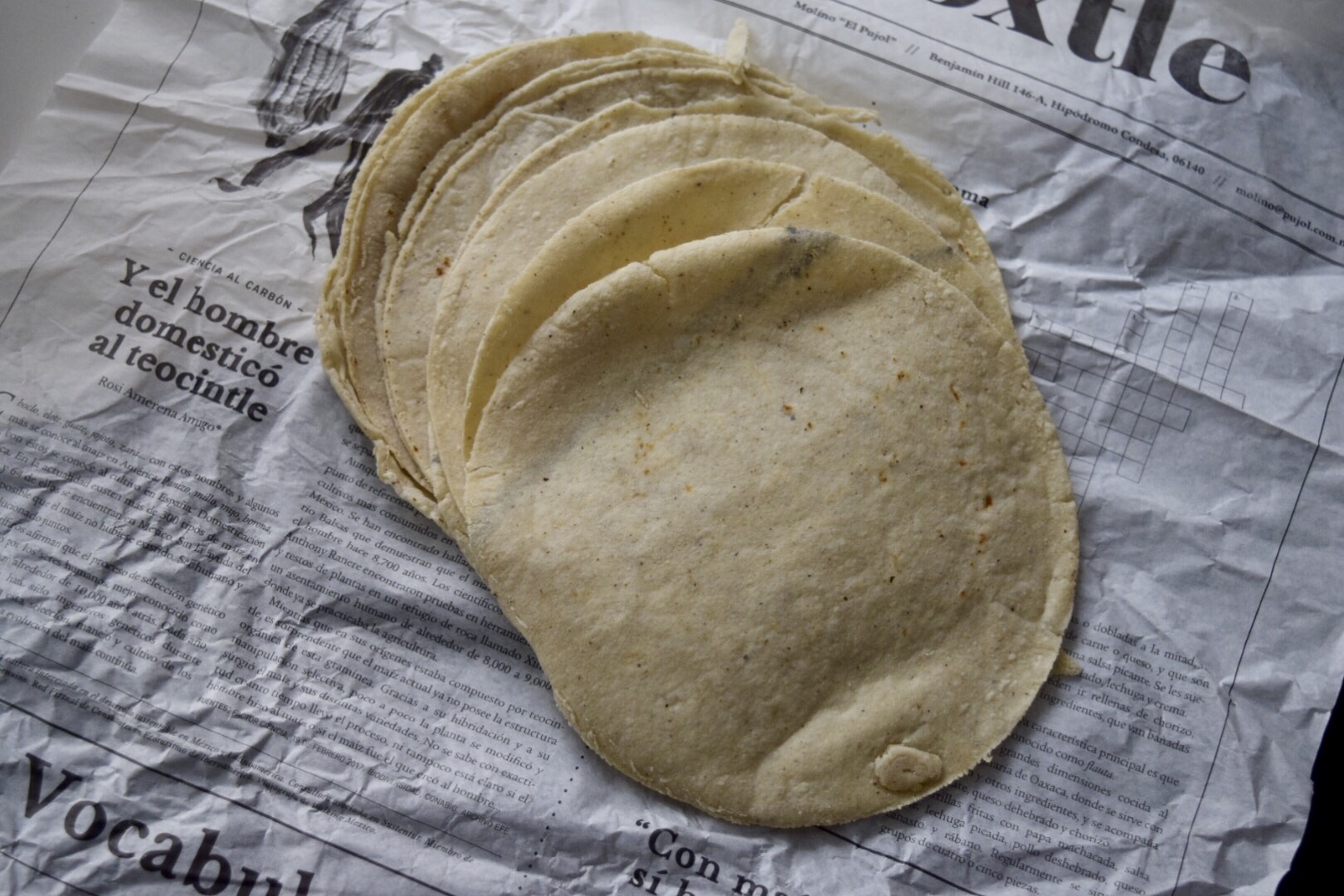 Molino “El Pujol”: una tortillería para promover la diversidad de maíces de México