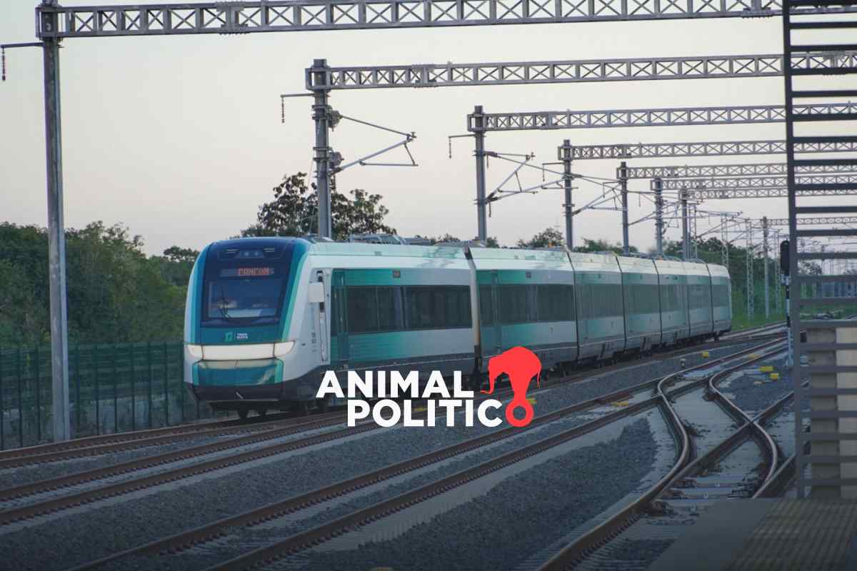 Gobierno expropia 77 predios en Edomex e Hidalgo para avanzar en el Tren Interurbano AIFA–Pachuca