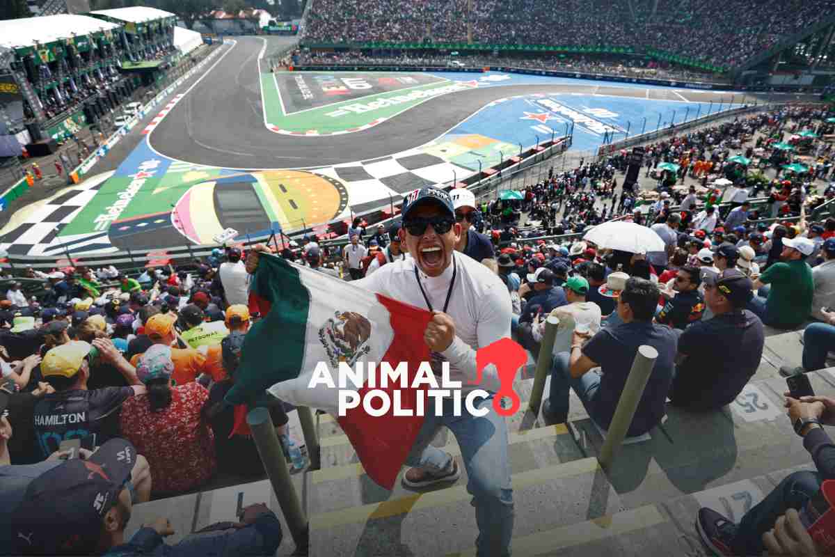 Gran Premio de México 2024: te decimos las alternativas viales y cómo será el operativo de seguridad