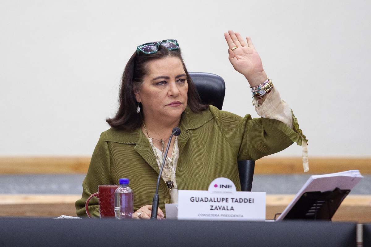 Guadalupe Taddei INE plan b sheinbaum mensaje