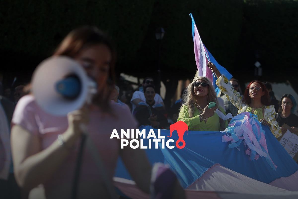 Guanajuato: falta de capacitación retrasa cambios de identidad de personas trans, señalan activistas
