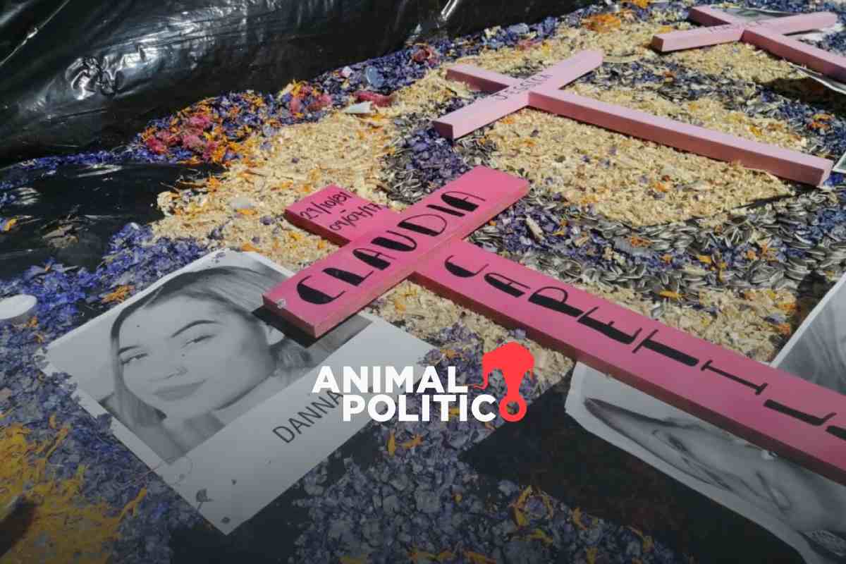 Guanajuato registra 313 feminicidios en 2025; se posiciona como la entidad con más casos