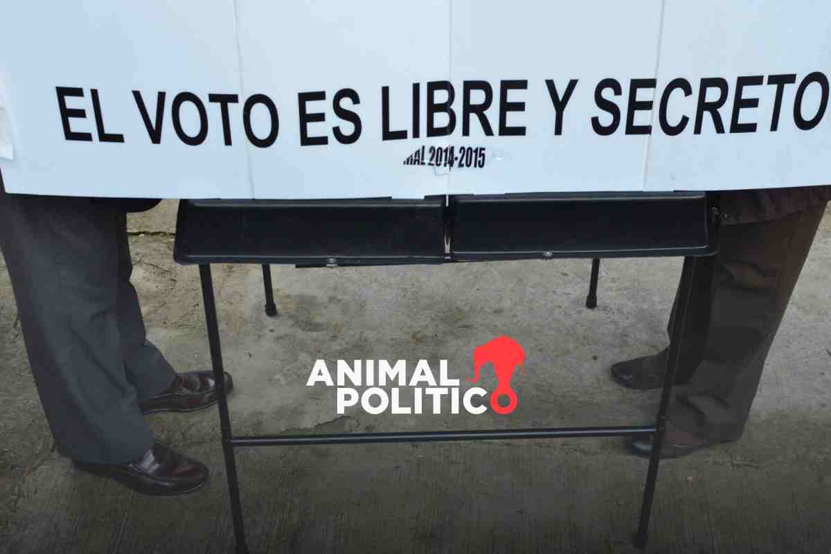 Alcaldes y diputados buscan reelección o imponen a familiares en candidaturas locales en Guerrero
