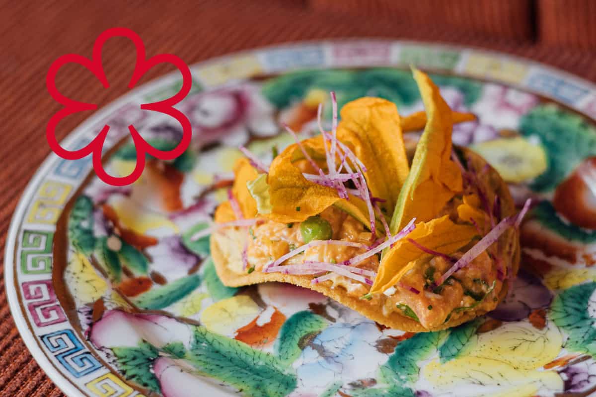 Estos son los 3 nuevos estados que entran a la Guía Michelin México 2026