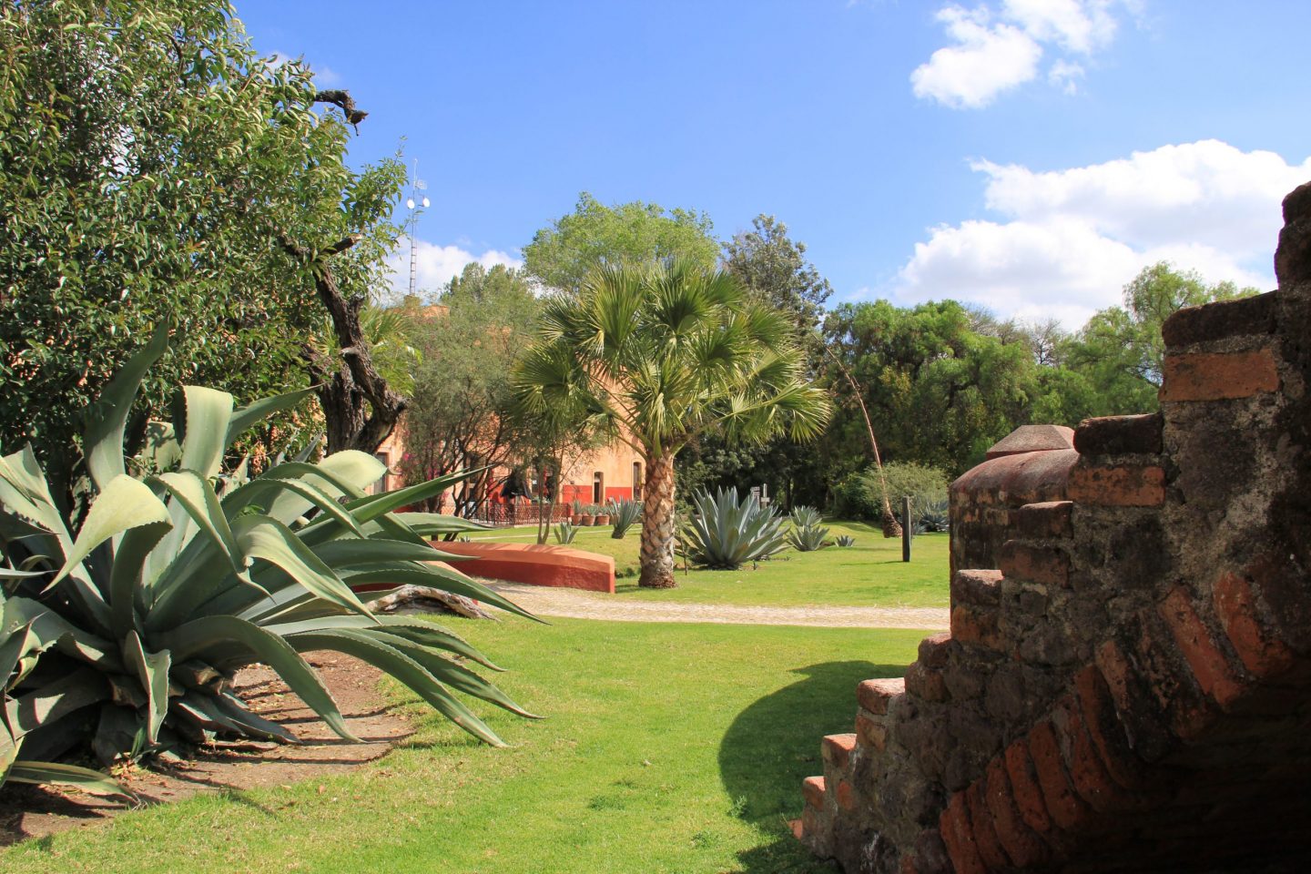 Las Pacholas y la cocina hacendaria de Lagos de Moreno