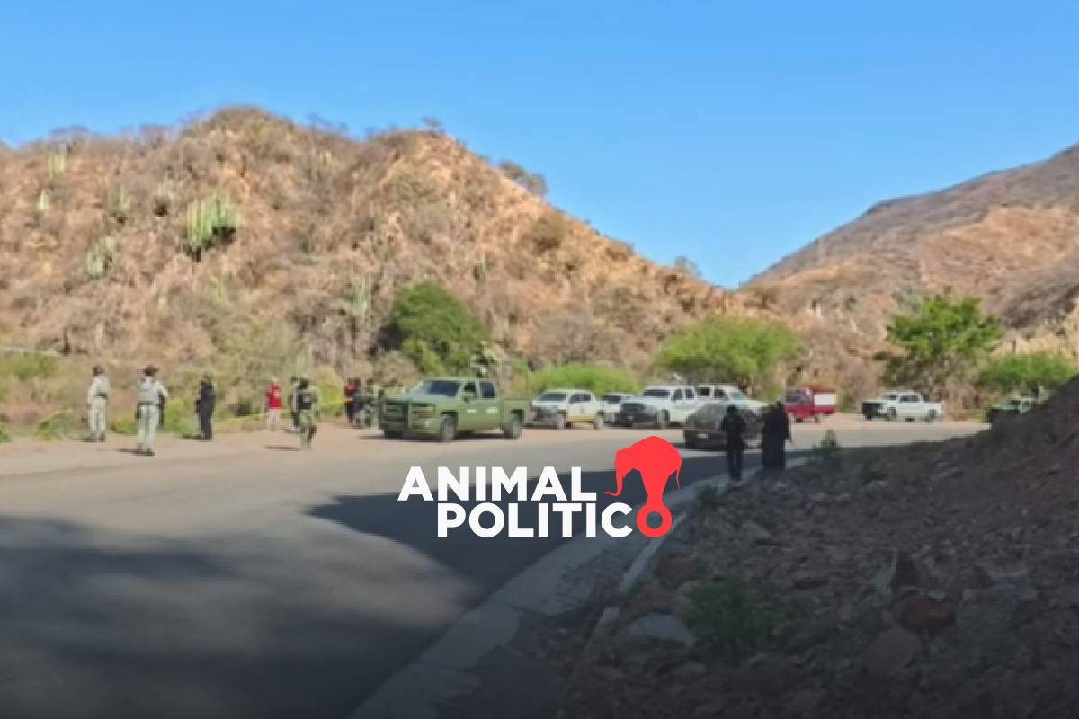 Hallan cuatro cuerpos a orillas de la carretera Tlapa-Metlatónoc, en La Montaña de Guerrero