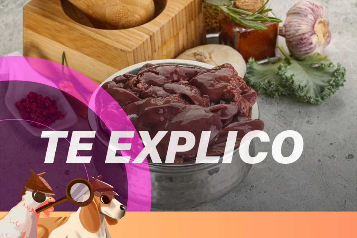 Hígado contaminado con clembuterol, esto es lo que pasa