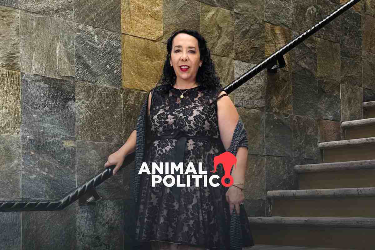 Diputada de Morena acusada de nexos con el crimen organizado recibirá el 30 % de sus ingresos