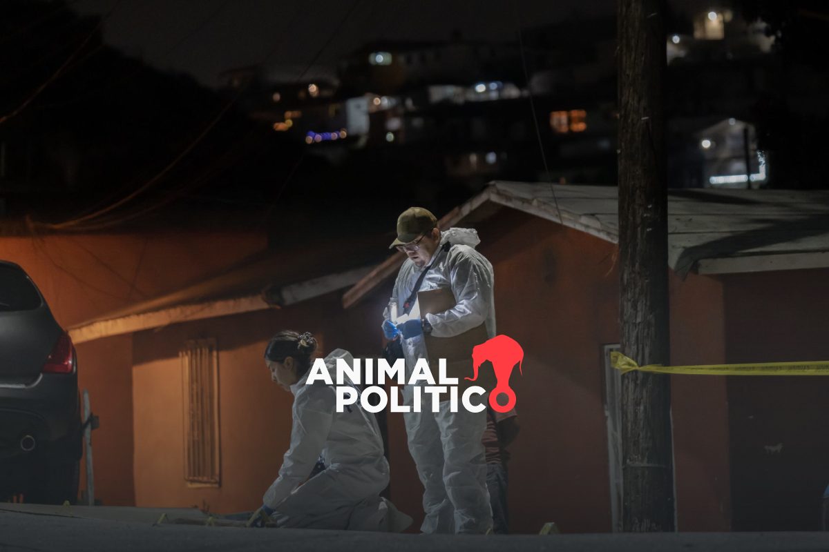 Gobierno presume baja en homicidios de septiembre a diciembre, pero subieron en comparativo anual