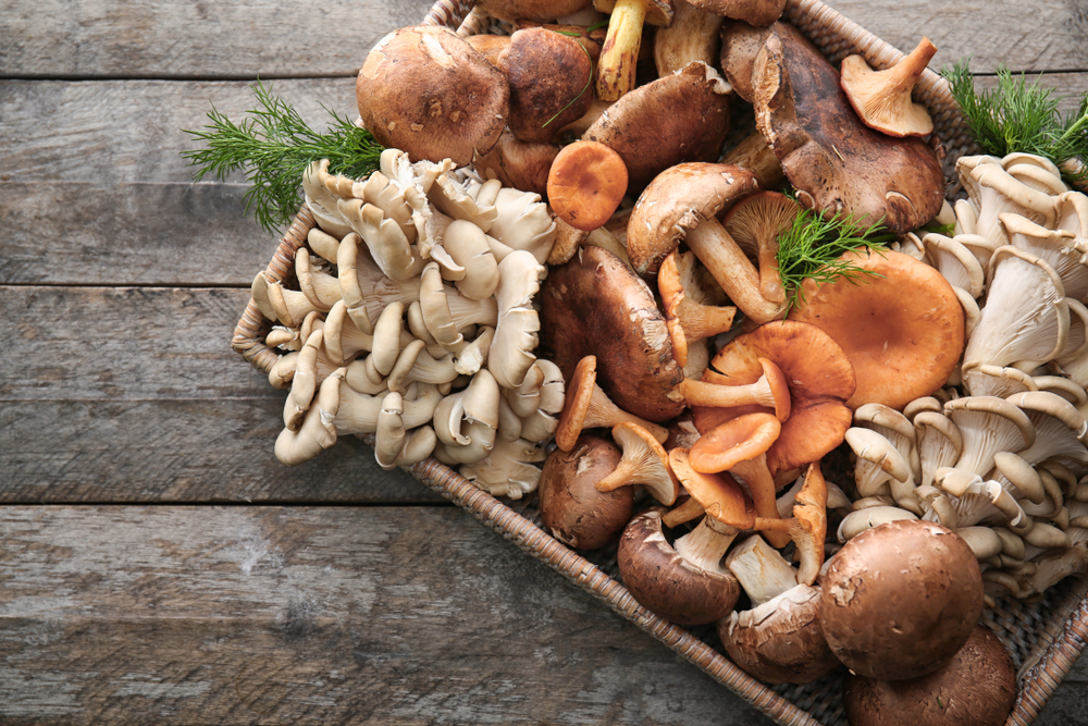6 tipos de hongos comestibles y cómo utilizarlos en la cocina