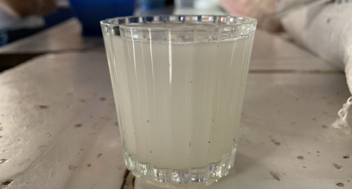 Aguamiel de maguey: Igual de valiosa y nutritiva que el pulque pero sin fermentar