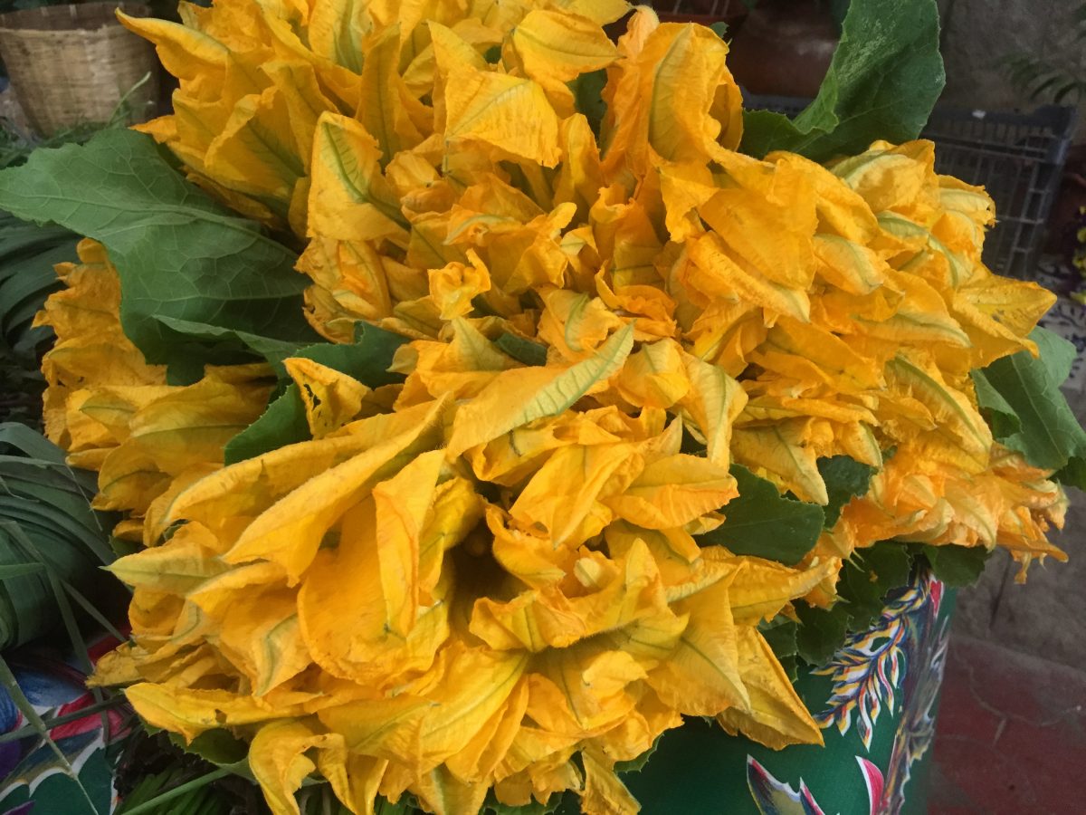 Flor de calabaza: recetas con la más bonita de la milpa