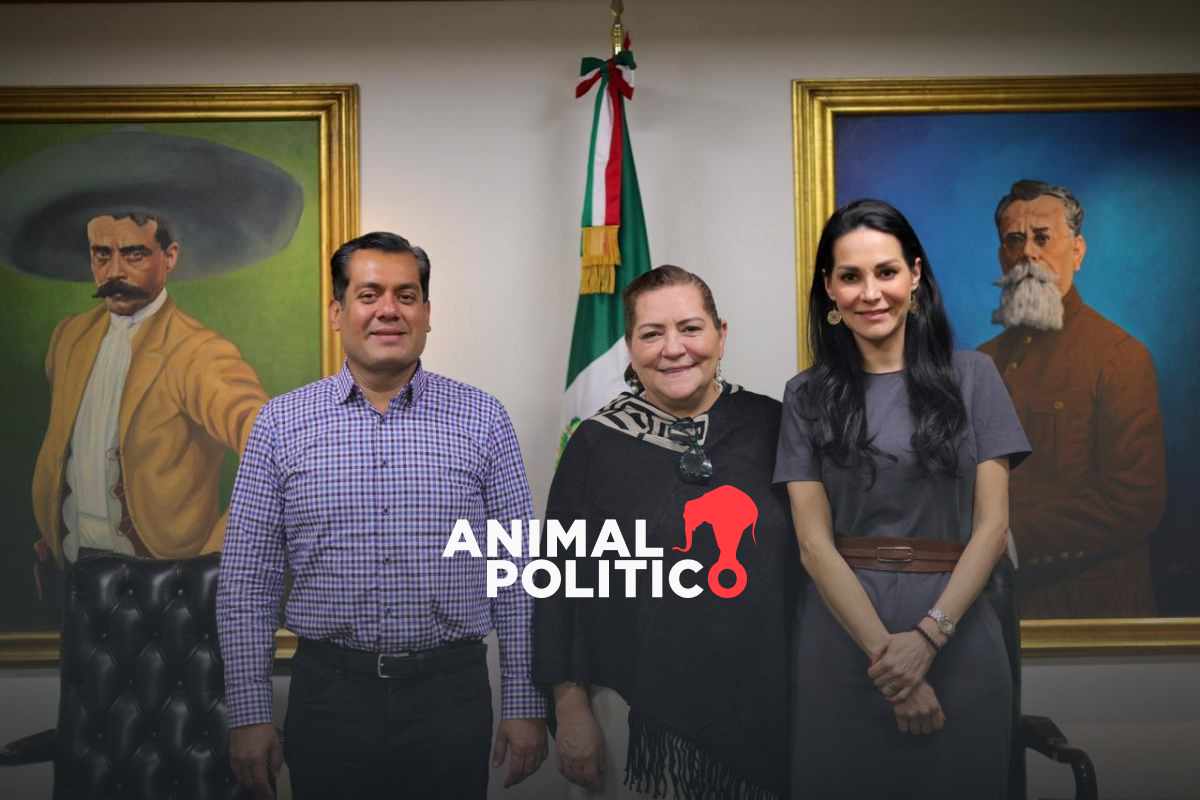 Guadalupe Taddei defiende ante diputados presupuesto de 13 mil mdp del INE para elección judicial