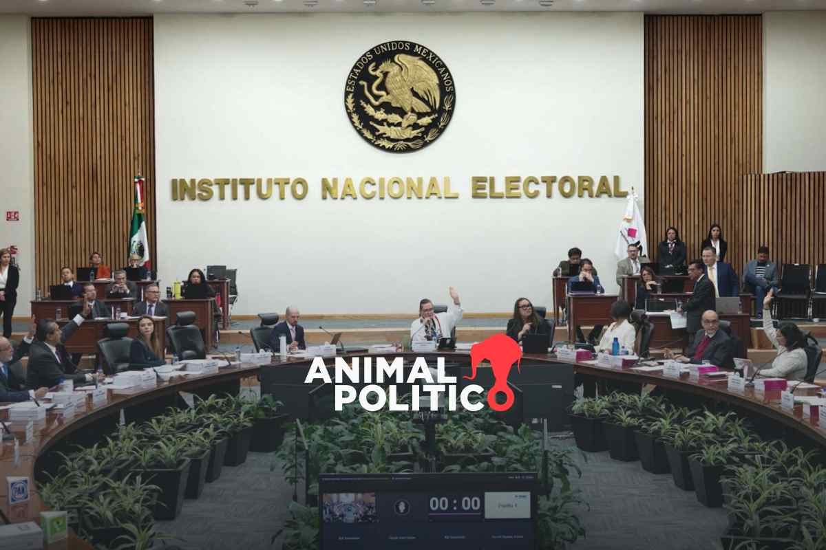 INE rechaza la petición de candidatos a elección judicial de usar sus sobrenombres en la boleta