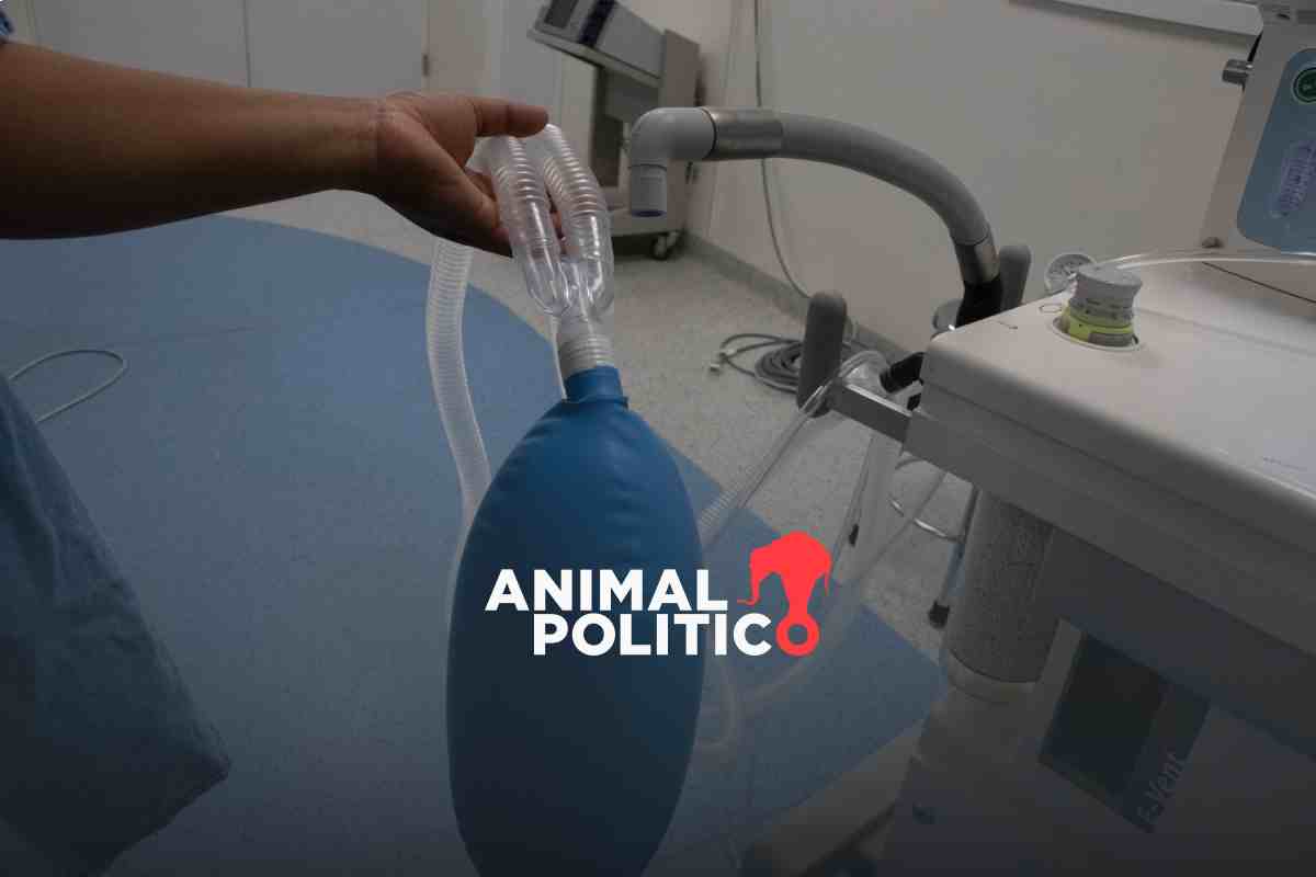 Médicos reportaron desde noviembre fallas en servicios de anestesia en el IMSS