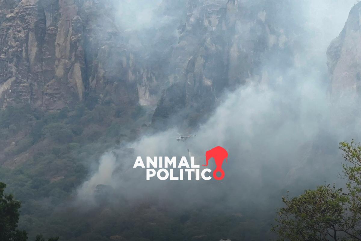 Incendio en el Tepozteco en Morelos suma cuatro días: 180 hectáreas afectadas y 70 % está controlado