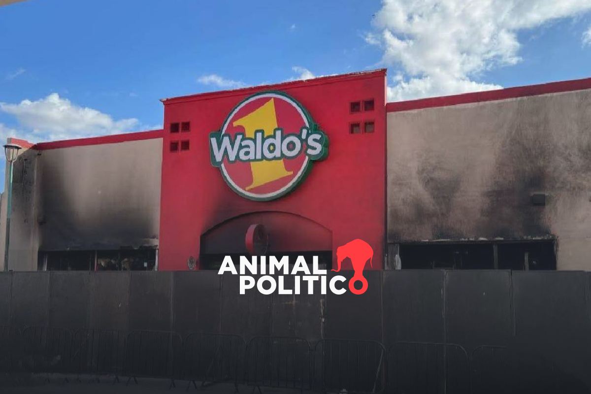 Incendio en Waldo’s: fiscalía de Sonora detecta documentación apócrifa; a un mes, no hay detenidos