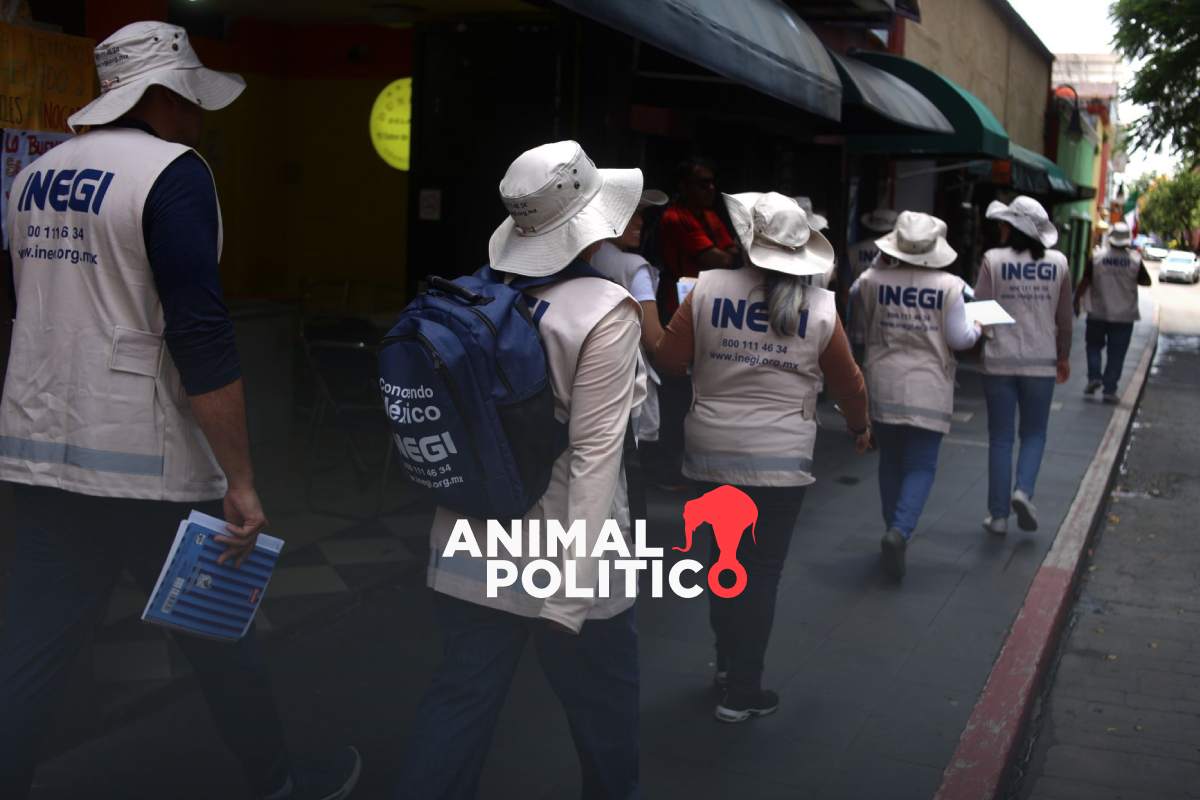 Inegi realizará censo en todos los municipios del país; así puedes reconocer a los encuestadores