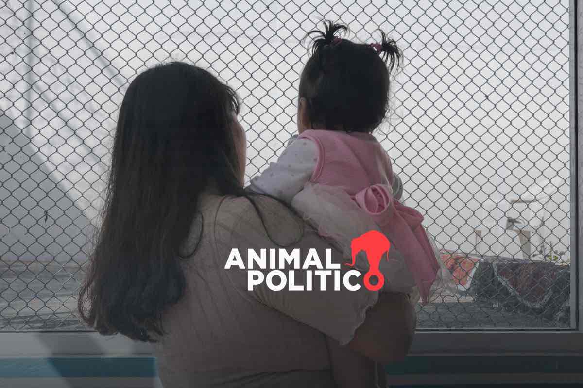 Límite de edad para infancias en prisión vulnera derechos y contradice estándares internacionales