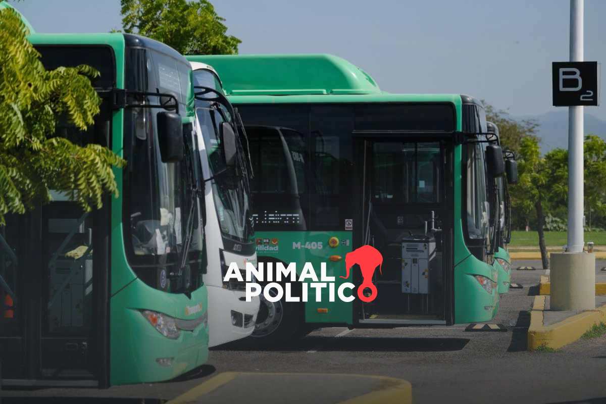 Jalisco cancela incremento a 14 pesos en tarifa del transporte público; quedará en 11