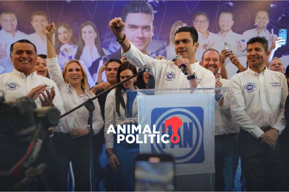 Con la participación de la mitad de militantes, el PAN elige a Jorge Romero como dirigente nacional