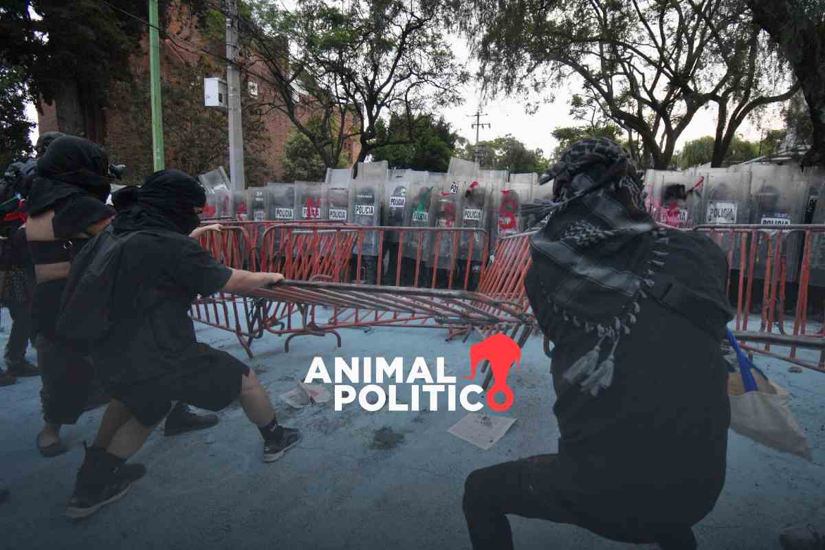 Joven lesionado en protesta pro Palestina está hospitalizado por una fractura en la frente