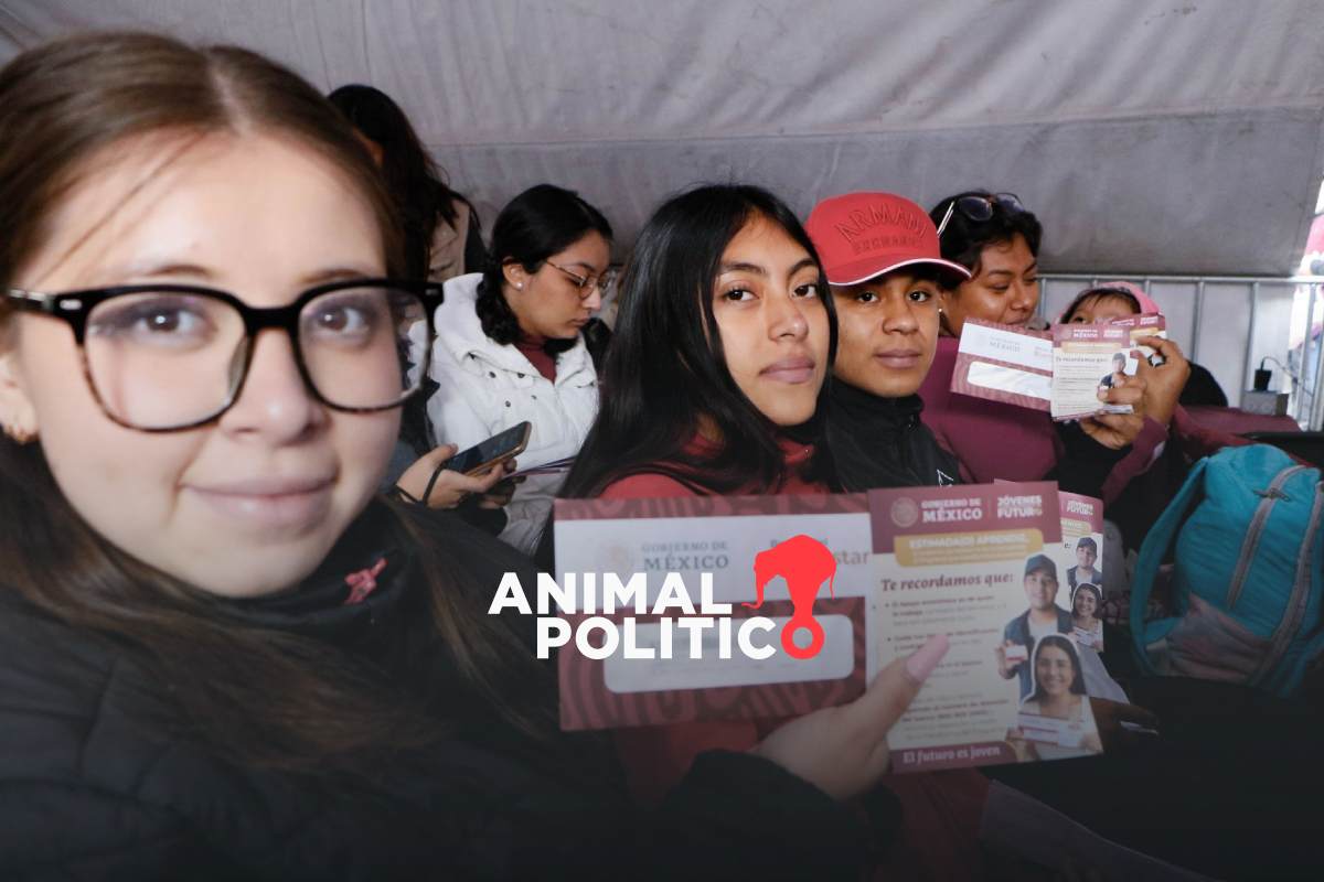 Jóvenes Construyendo el Futuro: cuándo inicia el registro, requisitos y todo lo que debes saber