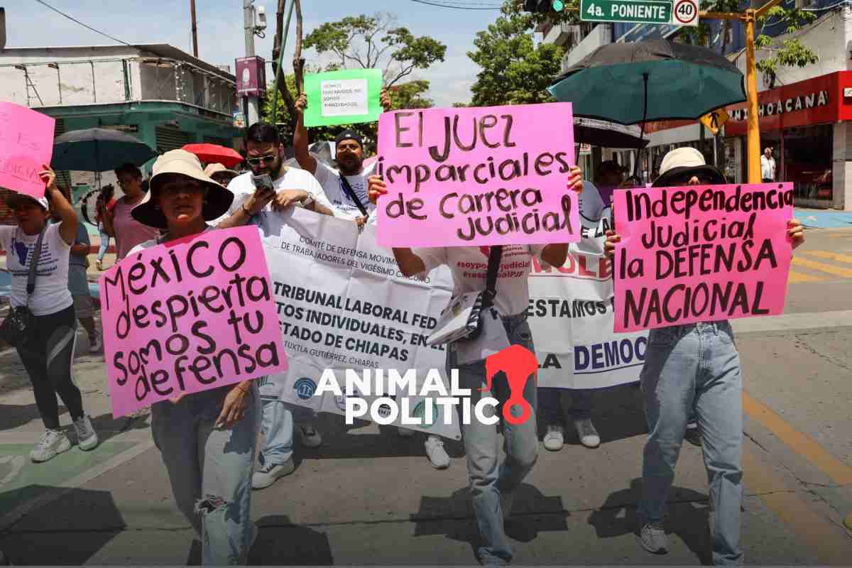 Jueces piden a la CIDH suspender la reforma judicial para analizar posibles violaciones de derechos