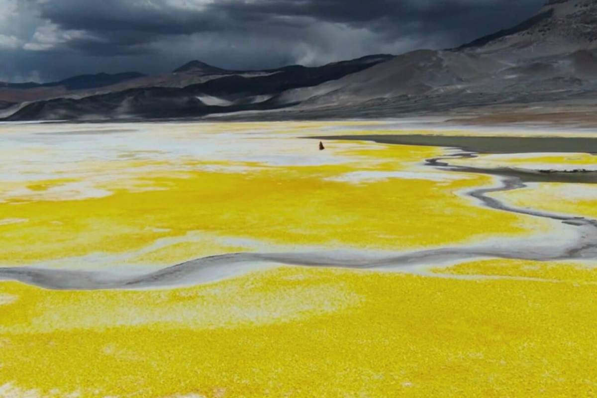 Chile: Kast frena las áreas protegidas en salares y otras 37 normas ambientales aprobadas por Boric