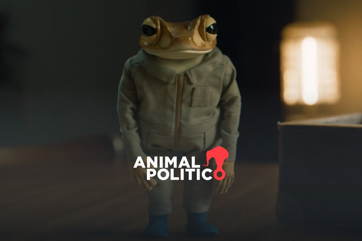 La historia de Concho, el sapo en peligro que aparece en el nuevo álbum de Bad Bunny | ENTREVISTA