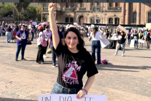 En redes sociales usuarios han afirmado que la reforma al código federal únicamente beneficia a las mujeres; sin embargo, eso es falso, pues no es una reforma dirigida a un grupo específico, sino a cualquier persona que pueda ser víctima de acecho.