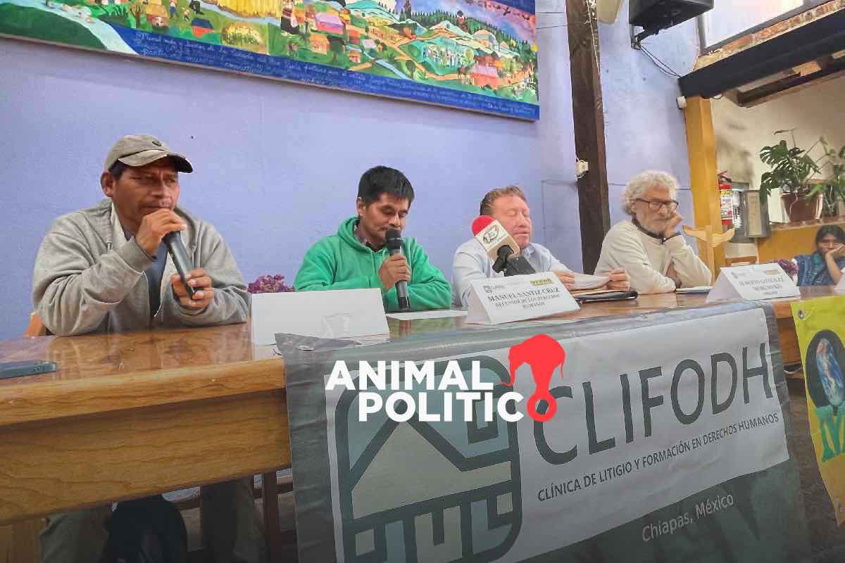 Liberan en Chiapas a cinco tzeltales defensores del territorio encarcelados por un delito fabricado