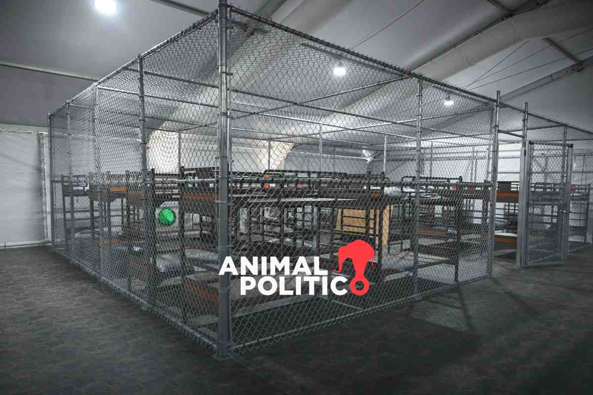 Liberan a hermanos mexicanos detenidos en Alligator Alcatraz; ya están en el país