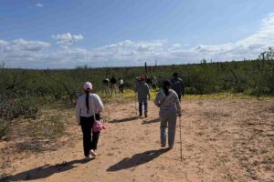 Localizan cinco fosas clandestinas con segmentos humanos en Comondú, Baja California Sur
