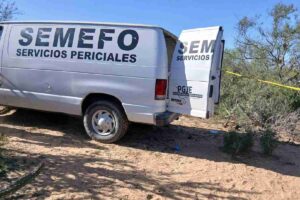 Localizan cinco fosas clandestinas con segmentos humanos en Comondú, Baja California Sur