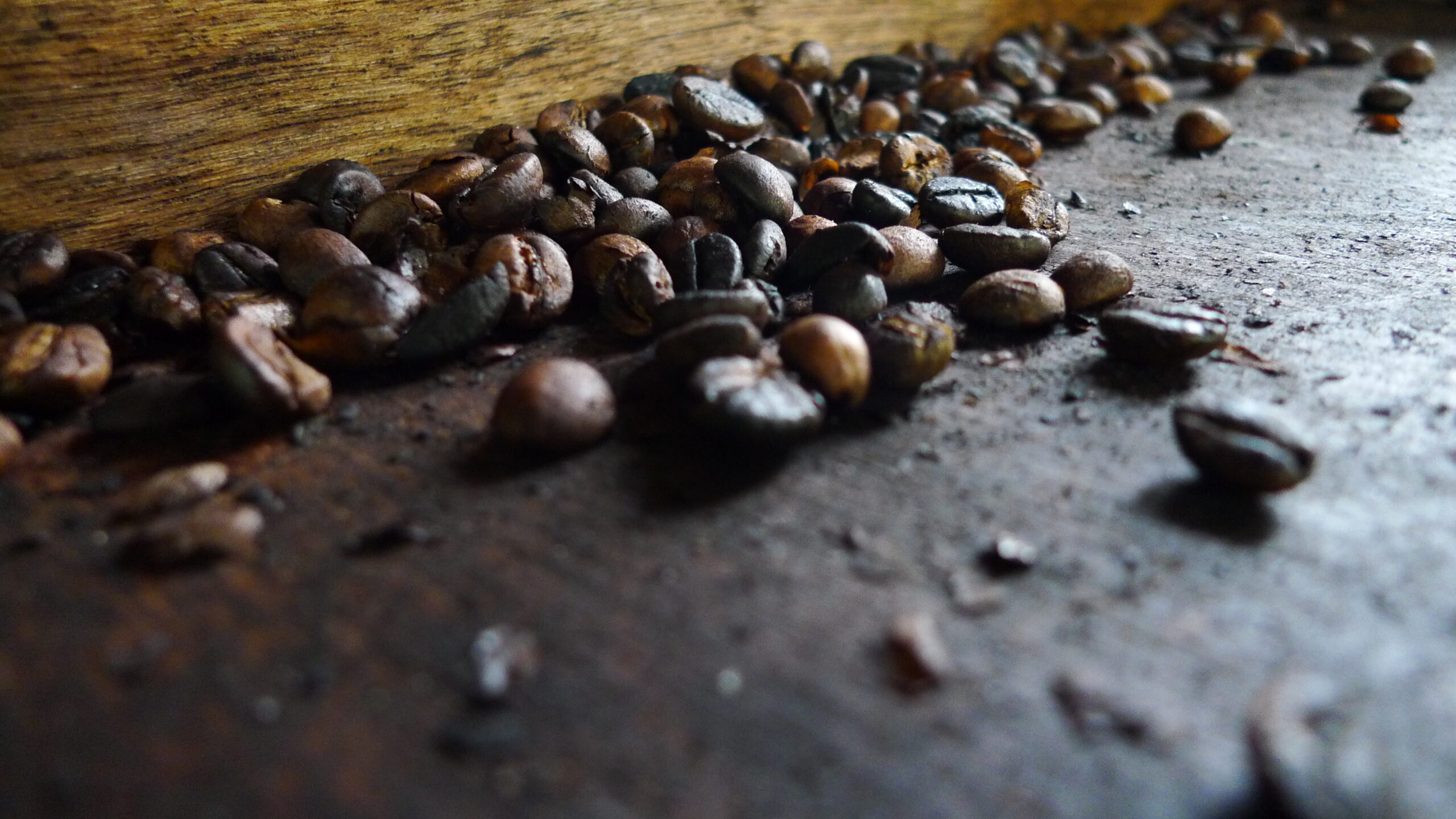 Kopi Luwak, uno de los cafés más caros del mundo
