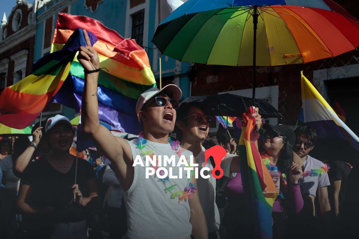 Marcha del Orgullo LGBT+ 2025 llega con lema "Diversidad sin fronteras": ruta y alternativas viales