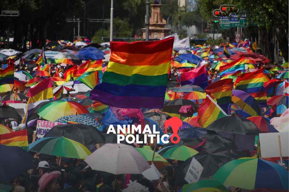 Eliminación de violencias, legislación integral y salud: pendientes rumbo a la Marcha del Orgullo